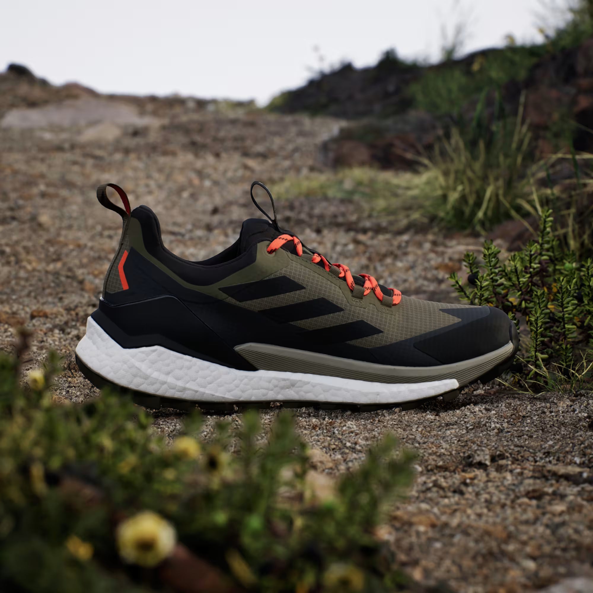Terrex/Gore-Tex