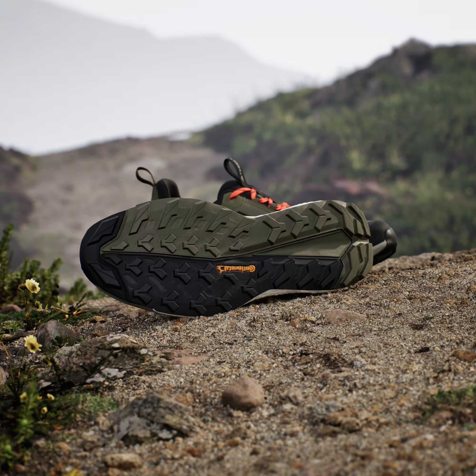 Terrex/Gore-Tex