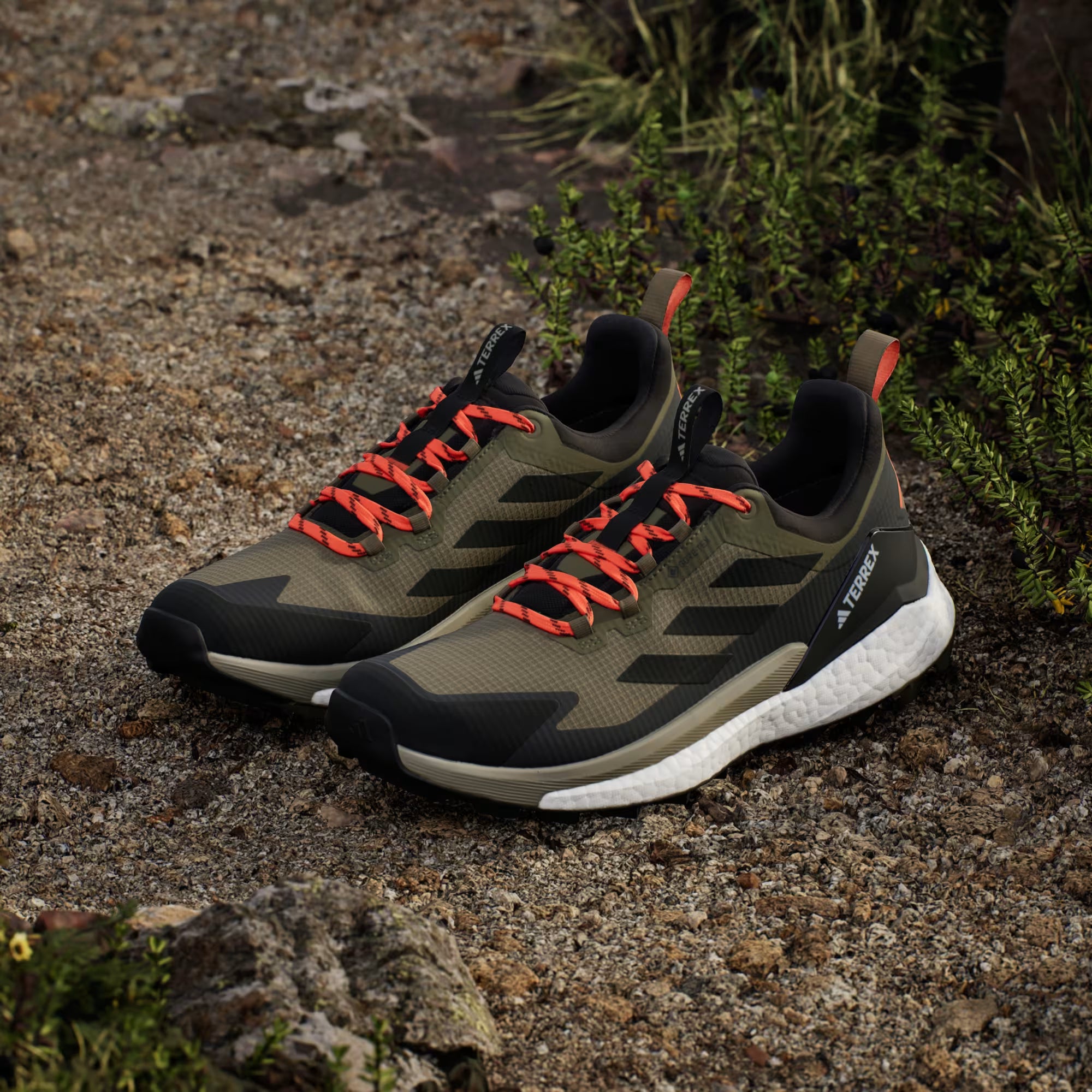 Terrex/Gore-Tex