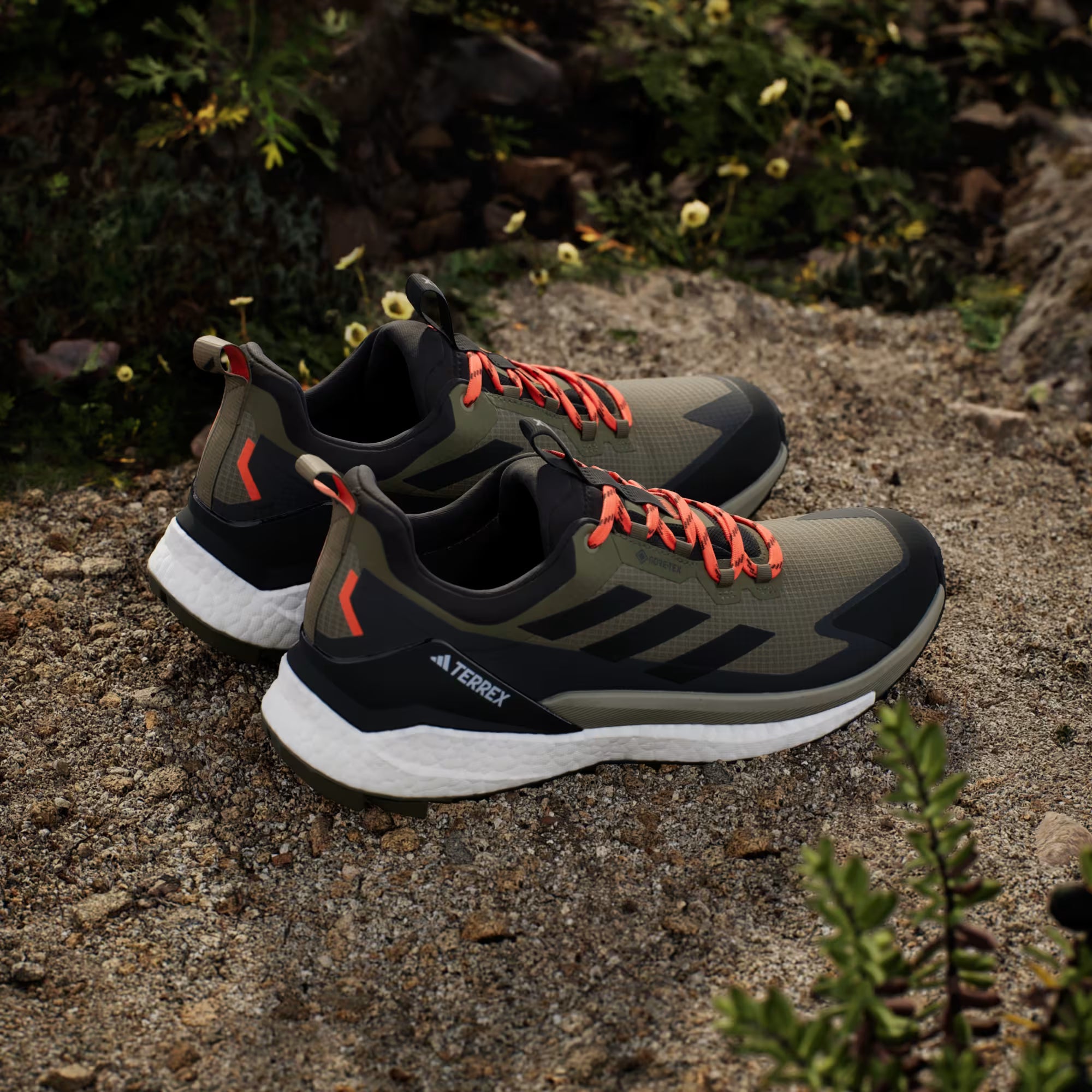 Terrex/Gore-Tex