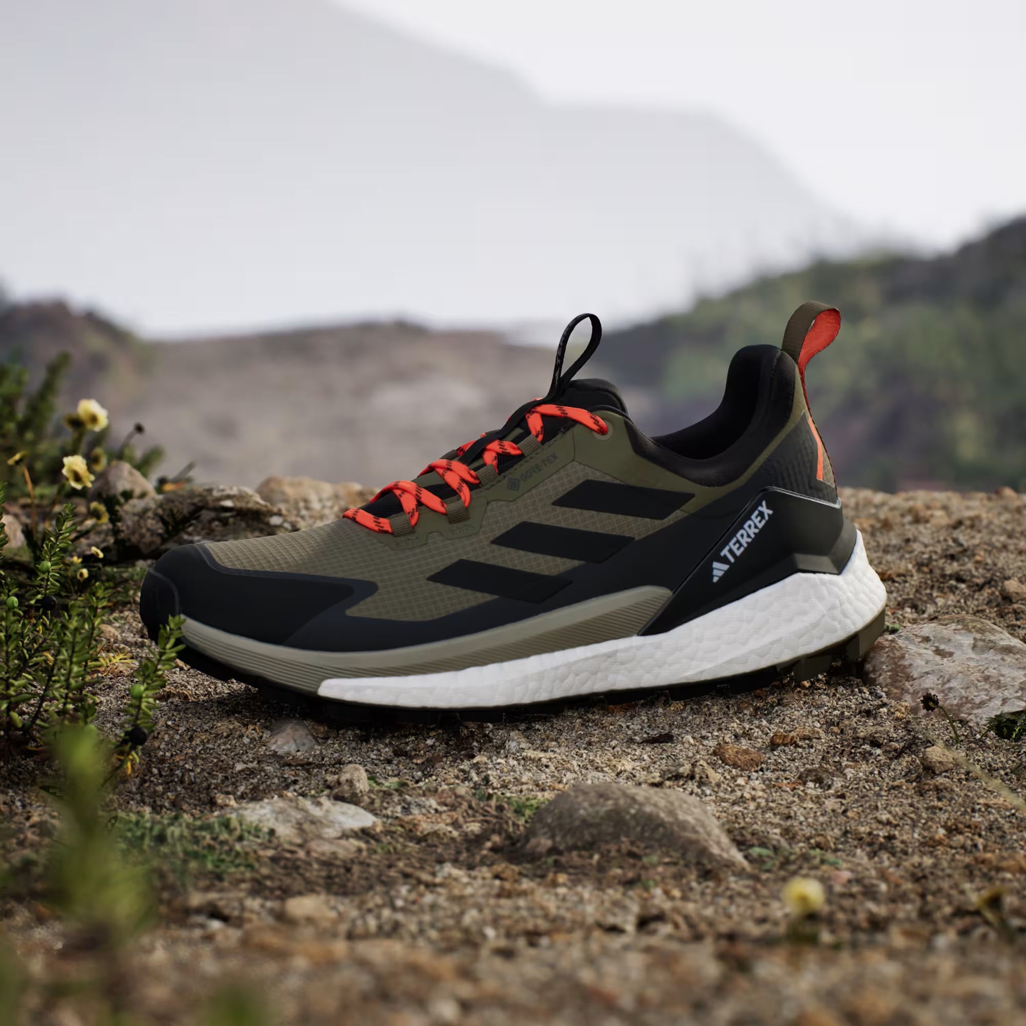 Terrex/Gore-Tex