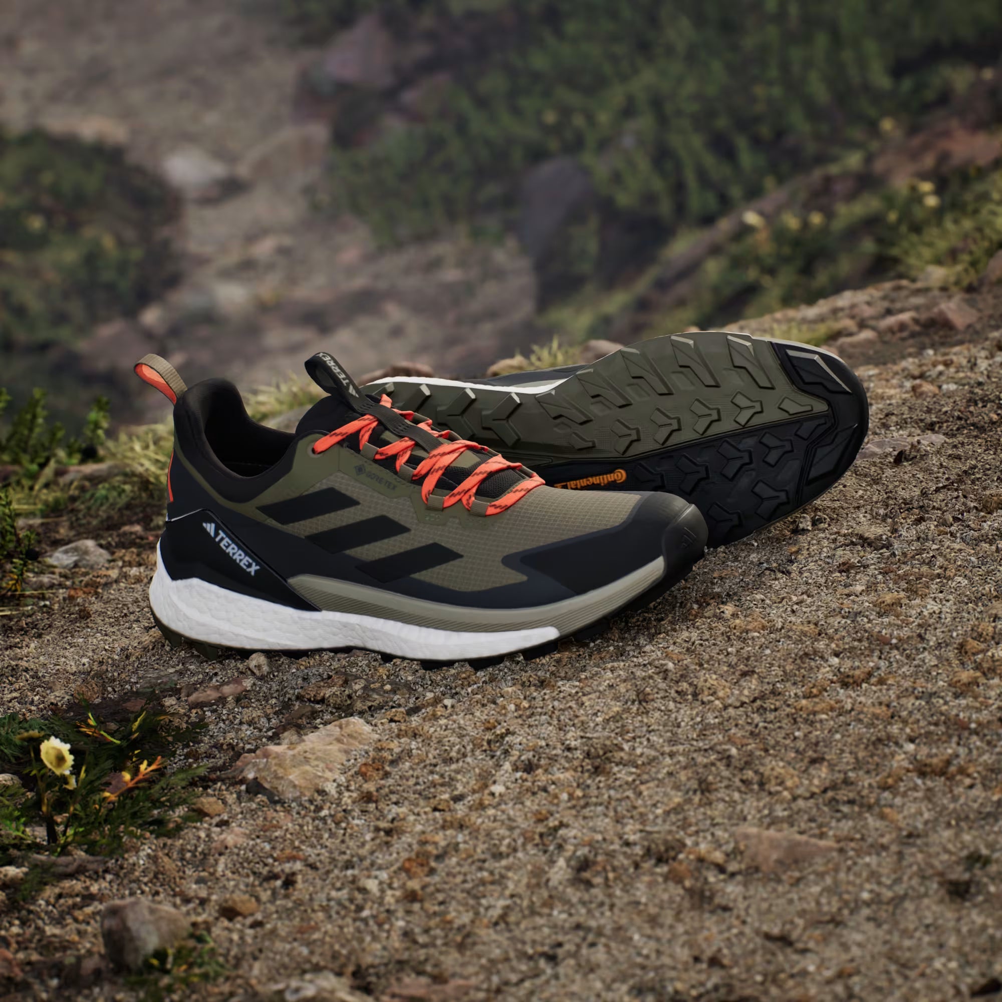Terrex/Gore-Tex