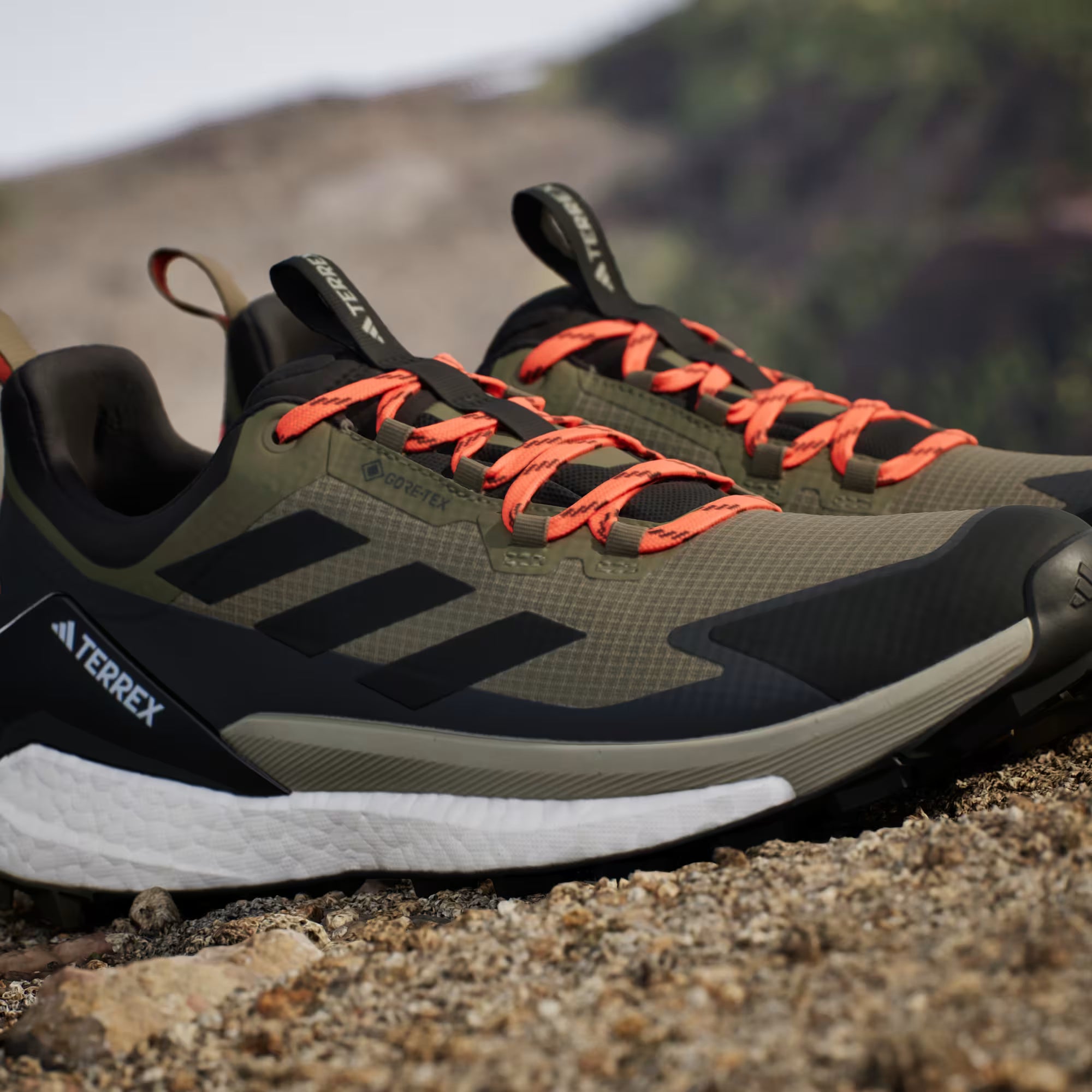 Terrex/Gore-Tex