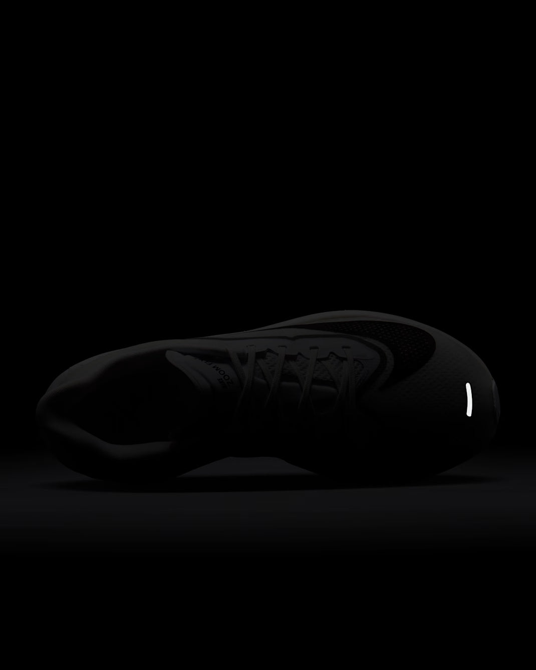 Zoom Fly 6