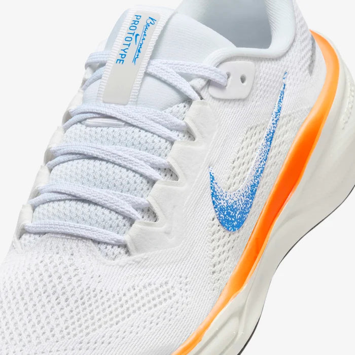 Air Zoom Pegasus 41 Fb