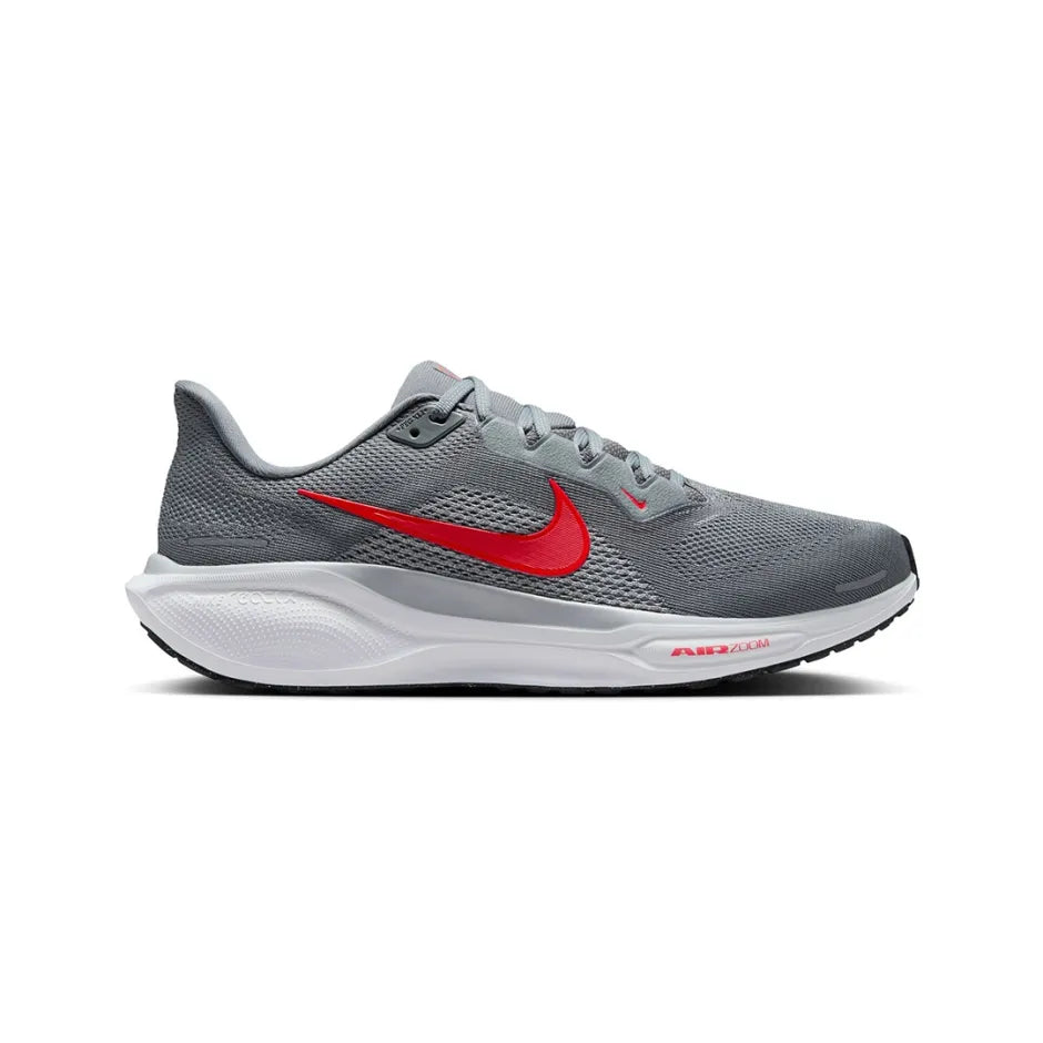 Pegasus 41