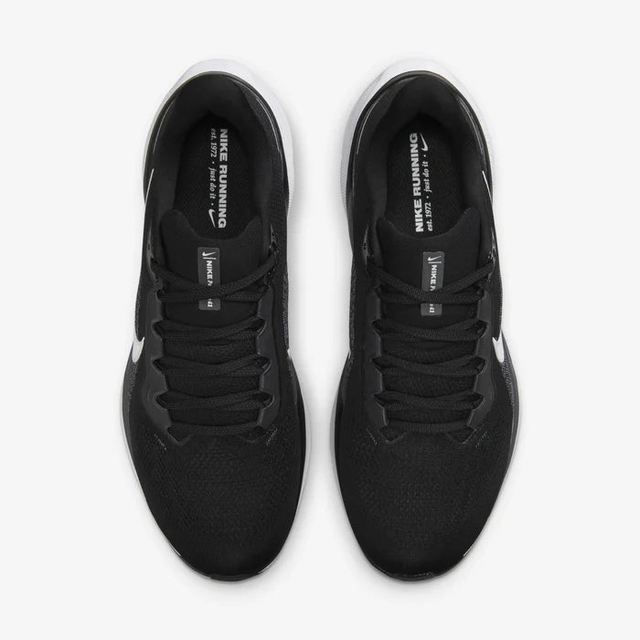 Pegasus 41