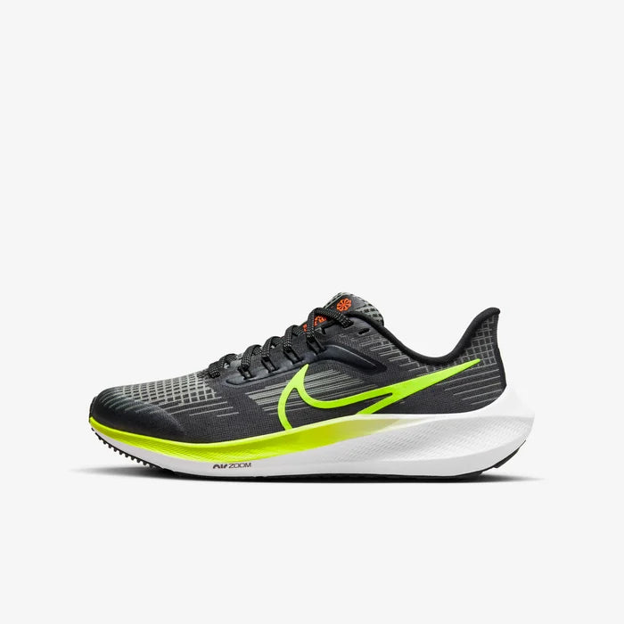 Air Zoom Pegasus 39