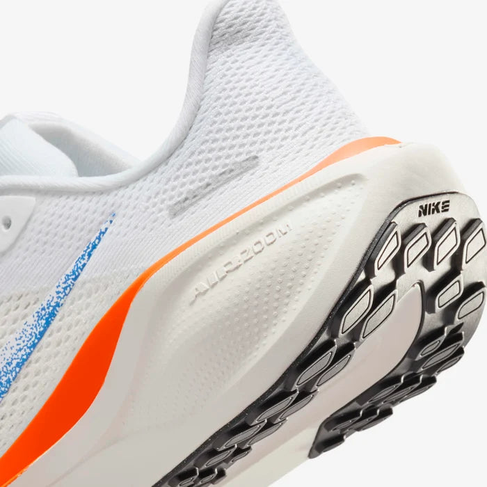 Air Zoom Pegasus 41 Fb