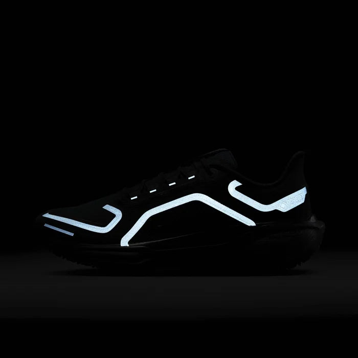 Pegasus 41 Gtx