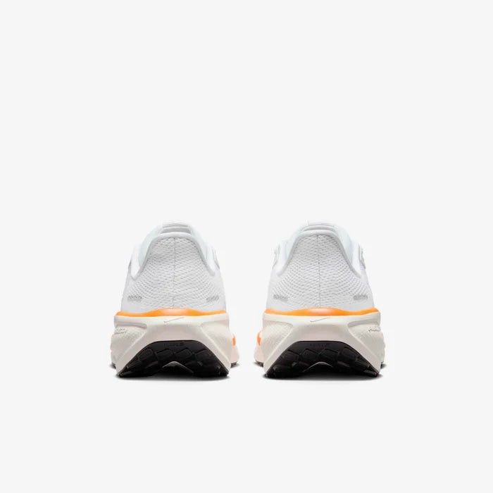 Air Zoom Pegasus 41 Fb
