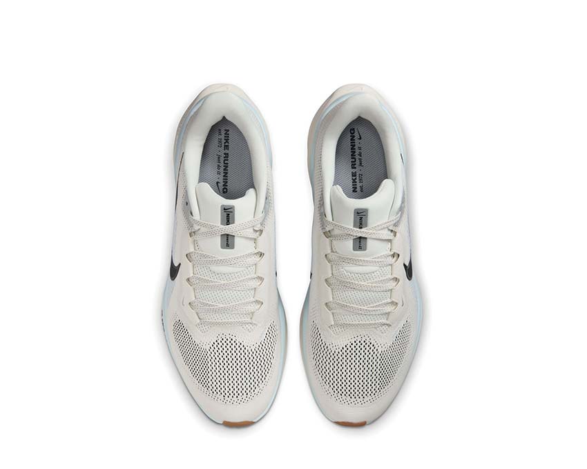 Pegasus 41