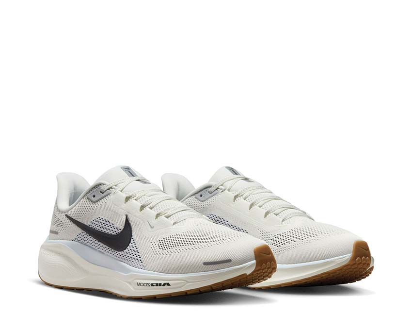 Pegasus 41