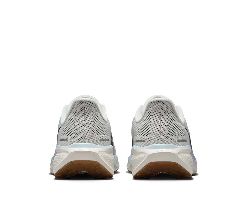 Pegasus 41