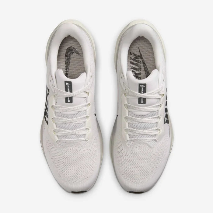 Pegasus 41