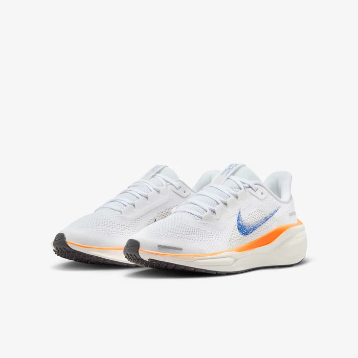 Air Zoom Pegasus 41 Fb