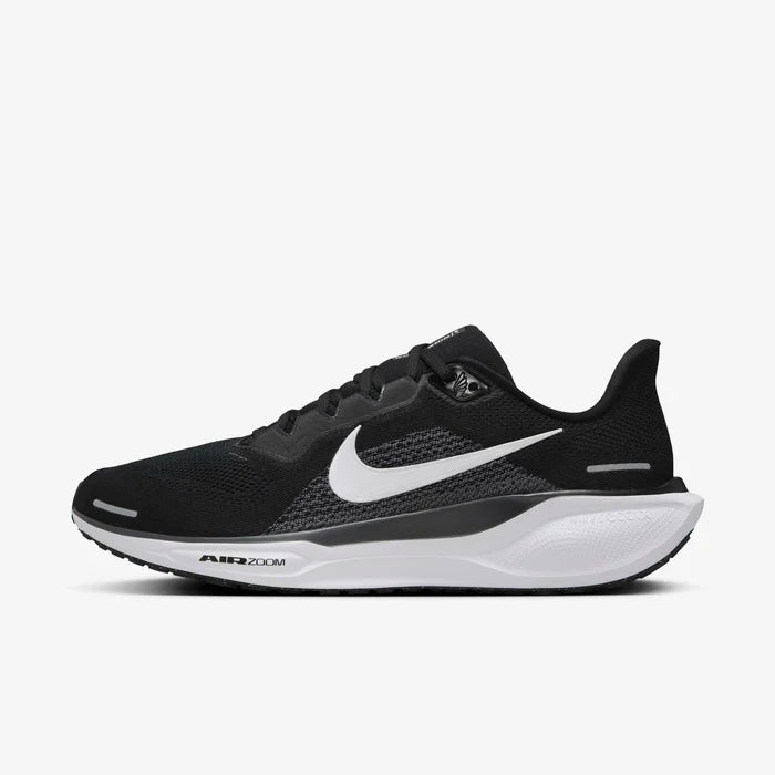 Pegasus 41