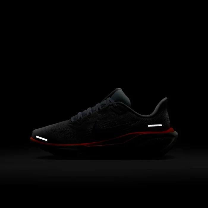 Air Zoom Pegasus 41 Fb
