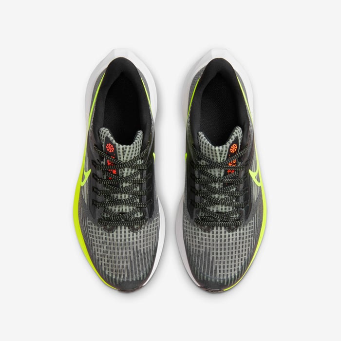 Air Zoom Pegasus 39