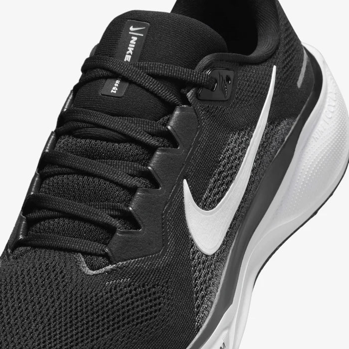 Pegasus 41
