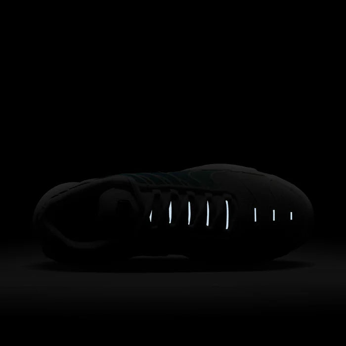 Air Max Plus