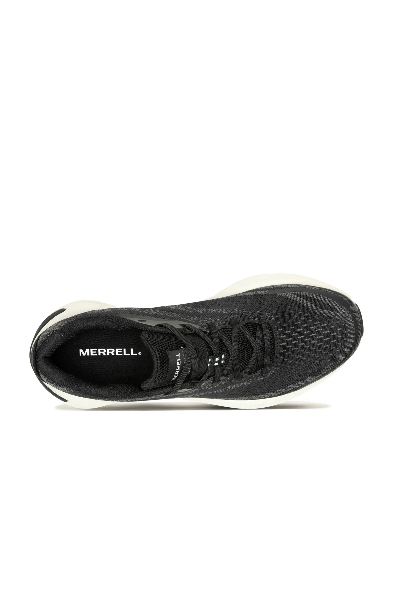 Morphlite