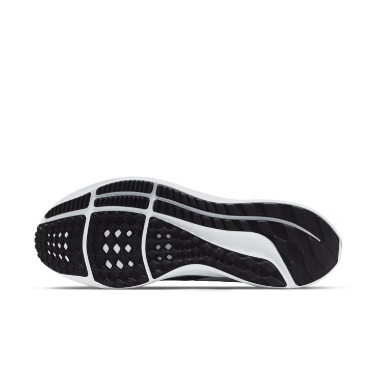 Air zoom pegasus 39
