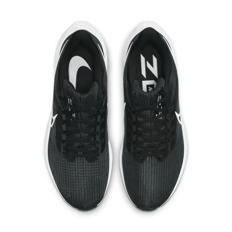 Air zoom pegasus 39