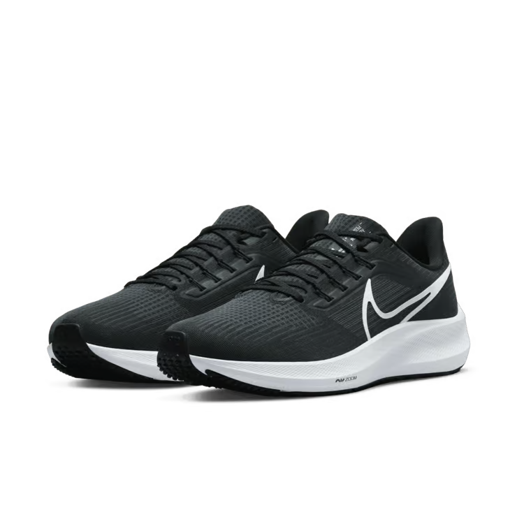 Air zoom pegasus 39