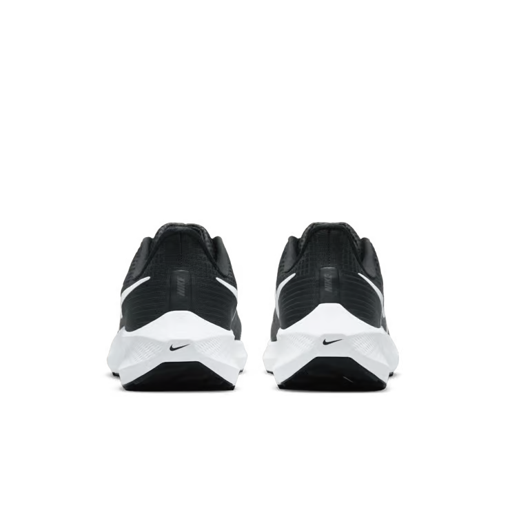 Air zoom pegasus 39