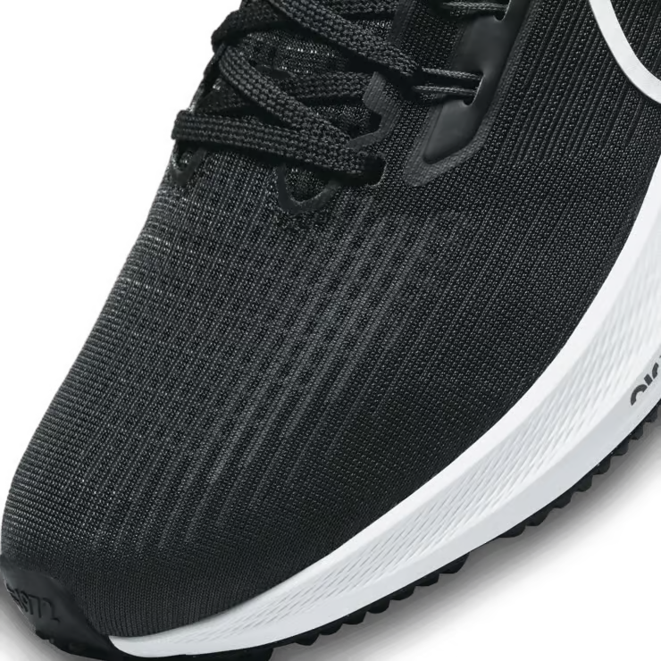 Air zoom pegasus 39