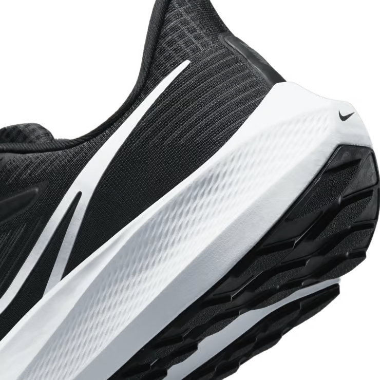 Air zoom pegasus 39
