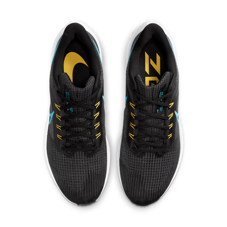 Air zoom pegasus 39