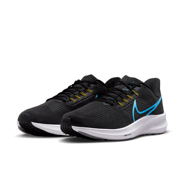 Air zoom pegasus 39