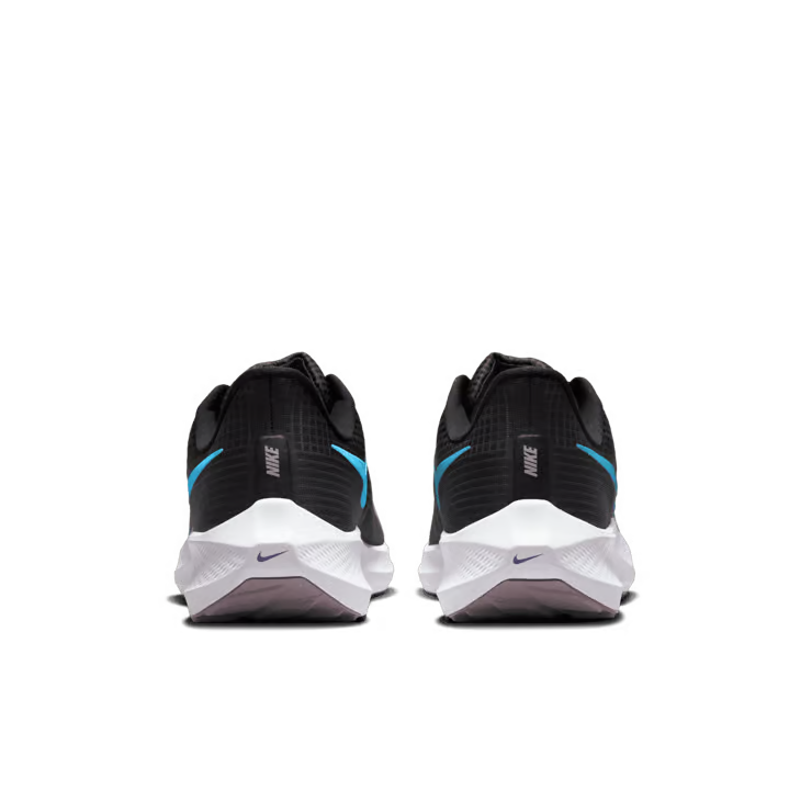 Air zoom pegasus 39