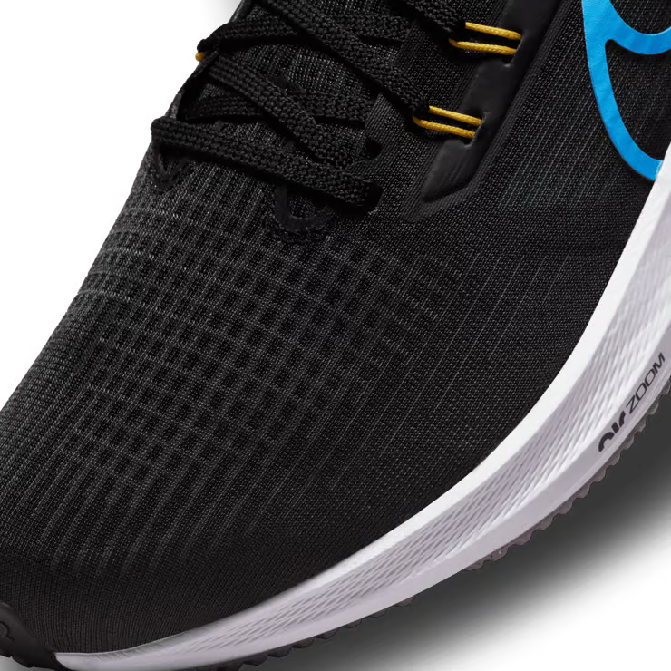 Air zoom pegasus 39