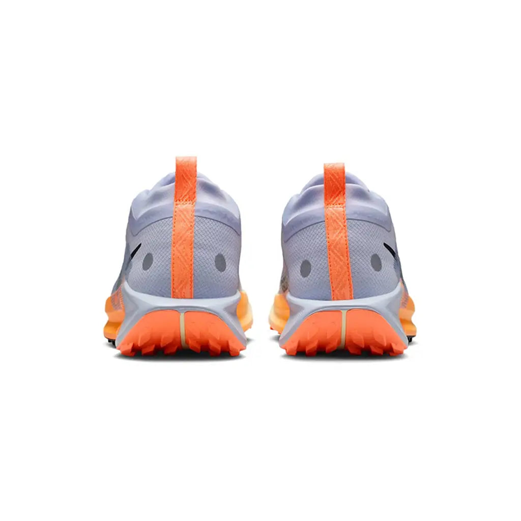 Pegasus trail 5 GTX