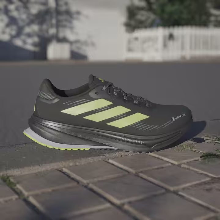 Supernova rise GTX M